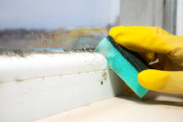 Crawl Space Mold Removal in Duncan, OK